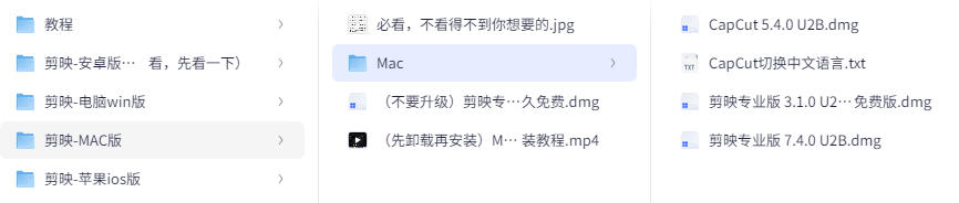 剪映全平台解锁(安卓v15.7、ios v7.6.3、win v6.3、mac v7.4.0) [9.4GB]