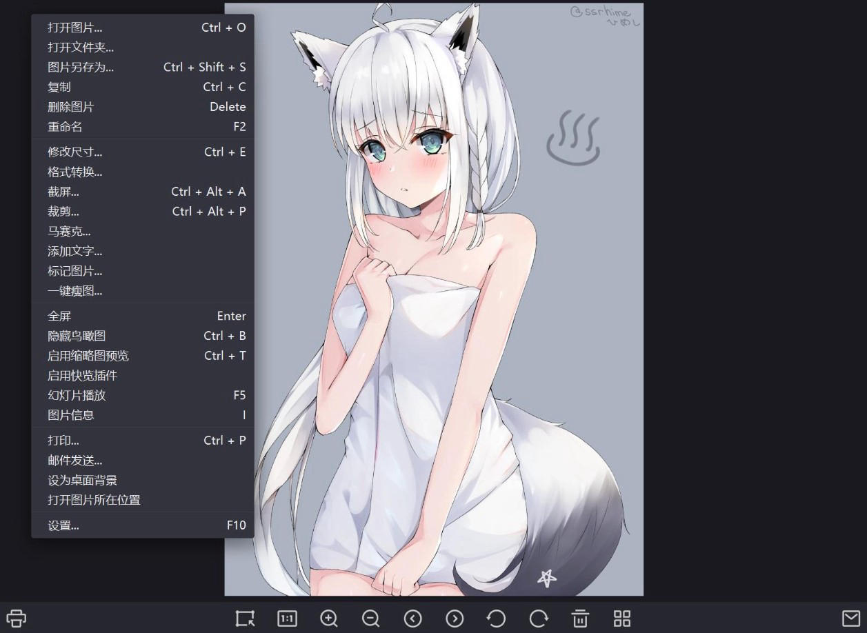 【PC】压箱底私藏货，爱奇艺看图v1.0.17.1465，这款软件已绝版，错过就真没了【9.9M】