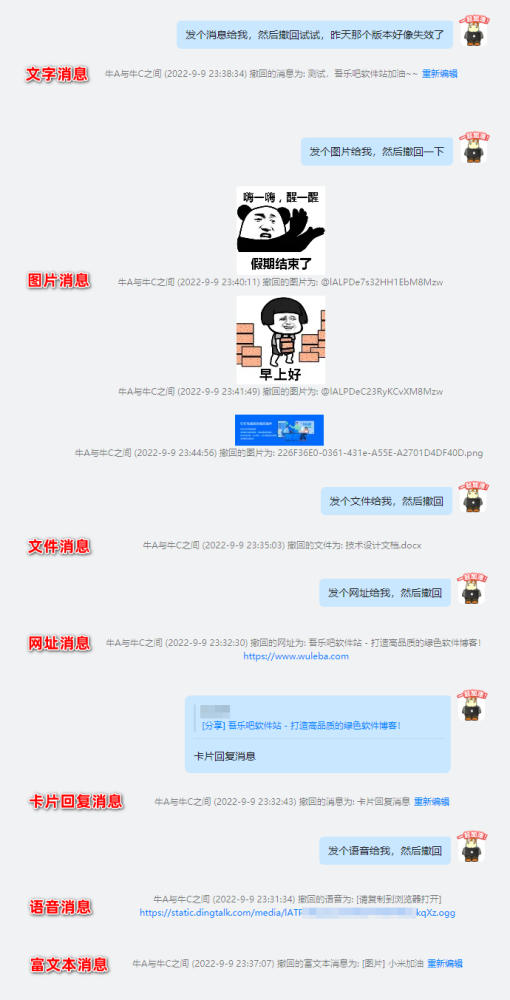 钉钉消息防撤回补丁PC版 6.5.5 吾乐吧优化版（支持消息防撤回+钉钉多开+支持消息永不已读）插图3