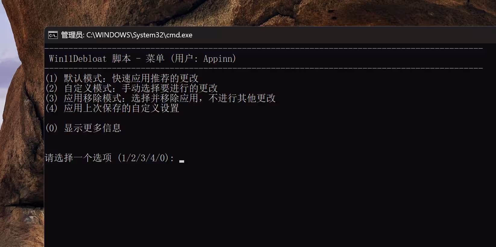 Win11Debloat - 微软欠我的性能该还了：一键卸载 90+ 款 Windows 11 预装软件 3